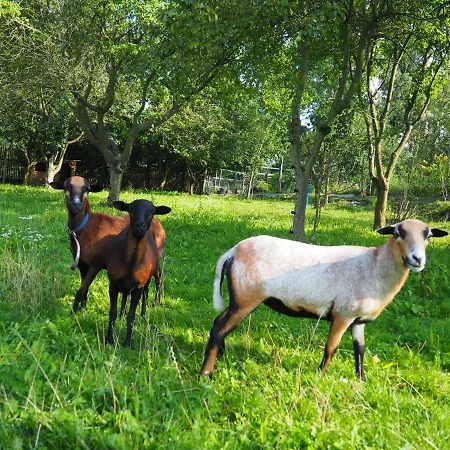 Lejlighed Domecek U Josefa *