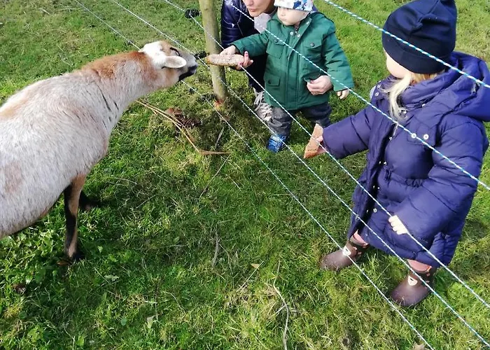 Apartman Domecek U Josefa *