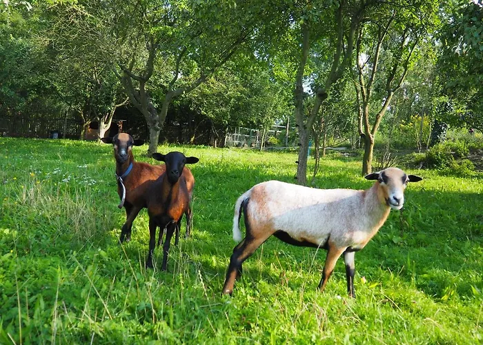 Apartman Domecek U Josefa *